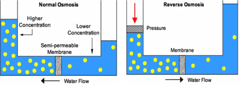 Gambar 1  Perbandingan antara proses osmosis dan reverse osmosis (Sumber : http://www.watertiger.net) 