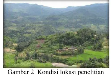 Gambar 2  KG