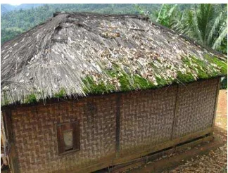 Gambar 16  Rumah dengan atap lapisan ijuk dan daun tepus (Amomum coccineum) 