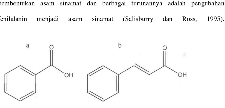 Gambar 2. (a) struktur asam benzoat dan (b) struktur asam sinamat    