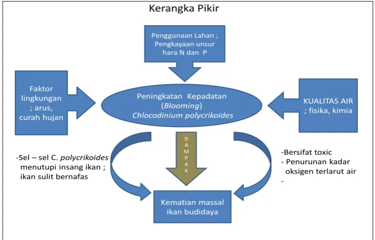 Gambar 1. Kerangka Pemikiran 