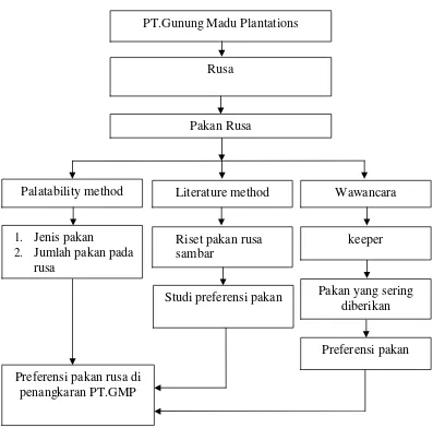 Gambar 1. Bagan Alir Kerangka Pemikiran Analisis Preferensi Pakan Rusa diPT.Gunung Madu Plantations Lampung Tengah pada Bulan Oktobersampai November 2015.