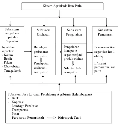Gambar 3.  Bagan alur kerangka pemikiran analisis sistem agribisnis ikan patin  Di Kecamatan Kota Gajah Kabupaten Lampung Tengah