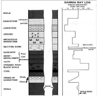 Gambar 6. Respon log gamma ray terhadap beberapa jenisbatuan (Rider, 1996)