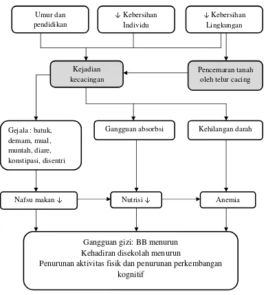 Gambar 12. Kerangka Teori