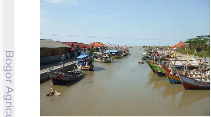 Gambar 6 Armada penangkapan perahu motor tempel di Sungai Selapenganten    