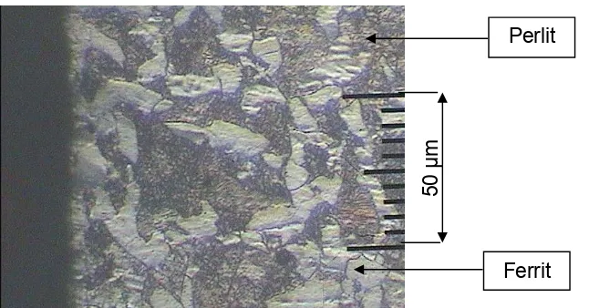 Gambar 4. 2 Struktur Mikro baja karbon sedang  yang sudah dikarburising 