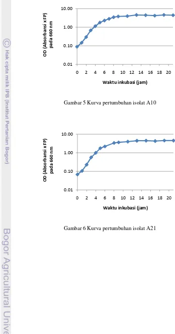 Gambar 6 Kurva pertumbuhan isolat A21 