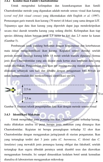 Gambar 5  Ilustrasi teknik pengumpulan data ikan dengan metode sensus visual 