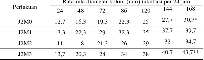 Tabel 1. Hasil penelitian jamur uniseluler Candida albicans pada media alternatif dari    umbi 