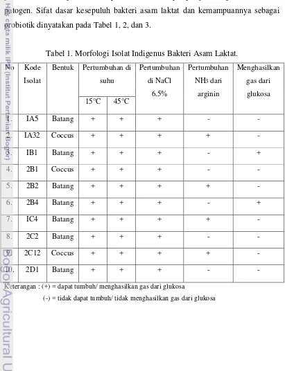 Tabel 1. Morfologi Isolat Indigenus Bakteri Asam Laktat. 
