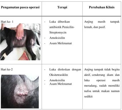 Tabel 1. Pengamatan dilakukan pada hari ke-1 hingga ke-7 pasca operasi.