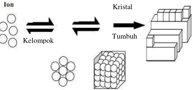 Gambar 2. Tahapan kristalisasi (Zeiher et al., 2003). 