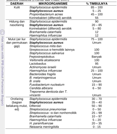 Tabel 2. Klasifikasi ilmiah Staphylococcus aureus (Anonim, 2009) 