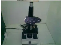 Gambar 17. Mikroskop Polarisasi di Balai Besar Litbang Pascapanen, Bogor. 