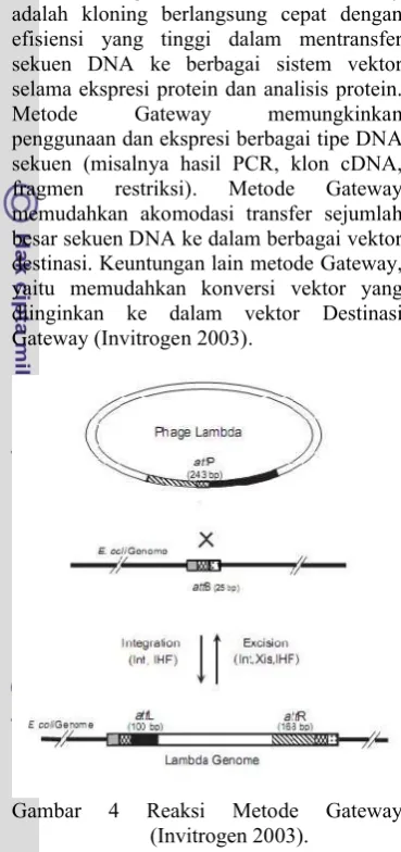 Gambar 4
