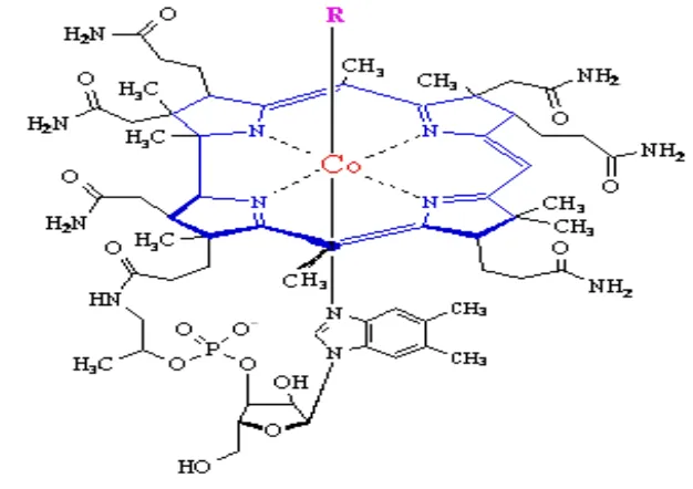 Gambar 2. Unsur Co dalam Molekul Vitamin B12 