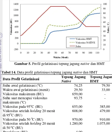 Tabel 15. Data profil gelatinisasi tepung jagung native dan HMT pada penelitian         