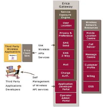 Figure 1. Erica mobile application platform 
