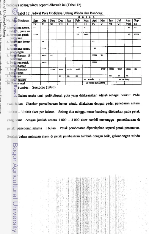 Tabel 12. Jadwal Pola Budidaya Udang Wmdu dan Bandeng 