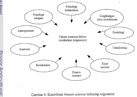 Gambar 4. Kontribusi hurna11 science terhadap ergollomi 