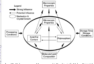 Gambar 12. Hubungan yang Mempengaruhi Karakteristik Makro Kristal Lemak 