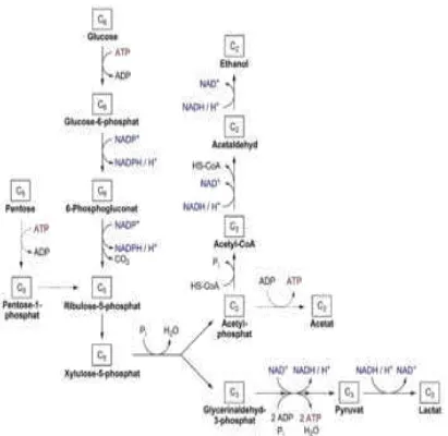 Gambar 1. Blok Diagram Proses Fermentasi Gula menjadi Etanol 