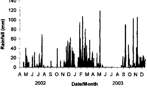 Fig. 3. The daily rainfall pattern in the research period. 