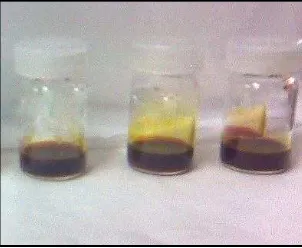 Gambar 7. Oleoresin Temulawak (Curcuma Xanthorriza Roxb)  