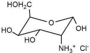 Gambar 1. Sturktur glukosamin hidroklorida