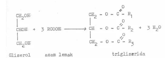 Gambar 4.Reaksi pembentukan trigliserida (Pasaribu, 2004) 