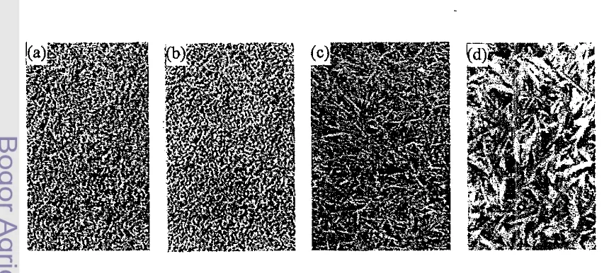 Gambar 2. Tekstur beberapa jenis rumput lansekap (a) rumput Bermuda, (b) rumput 