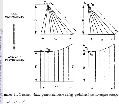 Gambar 11. Geometri dasar penentuan marcelling pada hasil pernotongan rumput. 