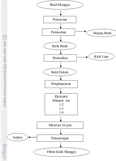 Gambar 1  Diagram alir ekstraksi kulit manggis 