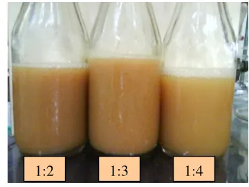 Gambar 4  Hasil ekstraksi kulit manggis 