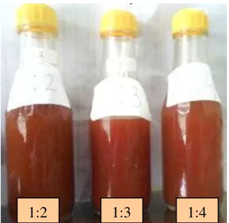 Gambar 9  Sirup xanthone  