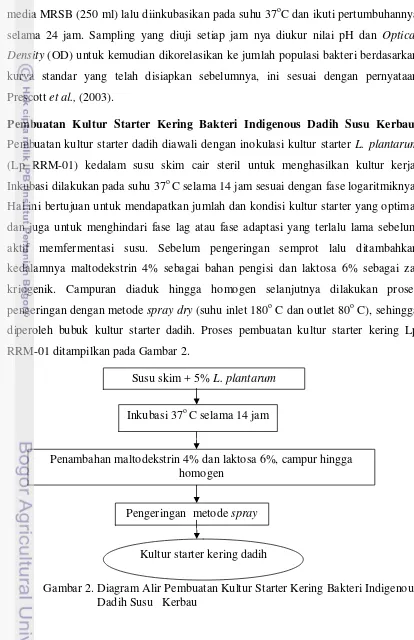 Gambar 2. Diagram Alir Pembuatan Kultur Starter Kering Bakteri Indigenous 