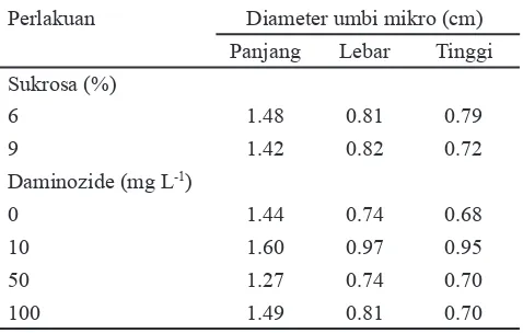 Tabel 1. Pengaruh tunggal pemberian sukrosa dan daminozide terhadap jumlah umbi mikro pada 10 MSP di ujung stolon