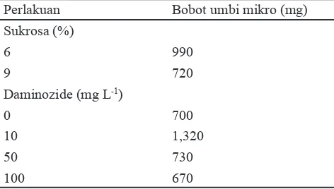 Tabel 3. Pengaruh tunggal pemberian sukrosa dan daminozide terhadap bobot umbi mikro pada 10 MSP
