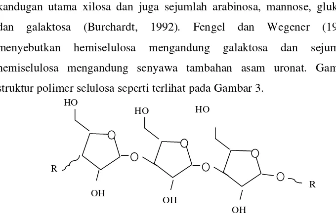 Gambar 3 . Struktur polimer hemiselulosa (Yang et al., 2007) 