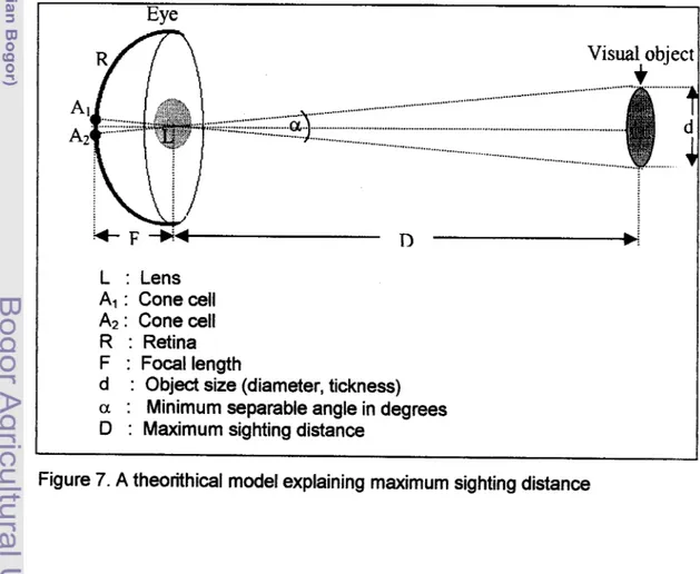 Figure  7.  A theorithical model explaining maximum sighting distance 
