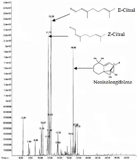 Figure 3.  GC-MS Chromatogram of essential oil of lemongrass stalk from Plaga 
