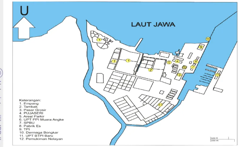 Gambar 4 Lay oy out Pangkalan Pendaratan Ikan Muara Angke.