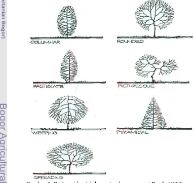 Gambar 5  Berbagai bentuk kanopi pohon menurut Booth (1983) 