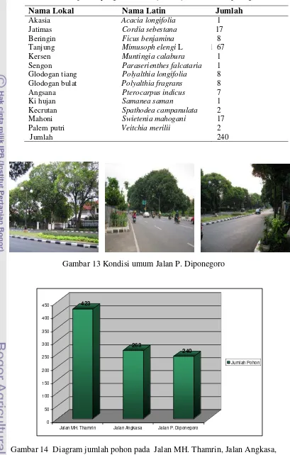 Tabel 19  Jenis pohon yang ditanam di jalur hijau Jalan P. Diponegoro 