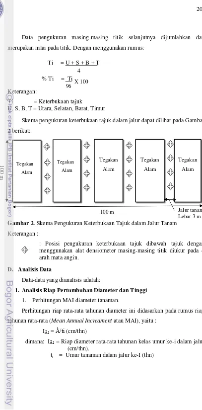 Gambar 2. Skema Pengukuran Keterbukaan Tajuk dalam Jalur Tanam 