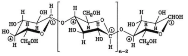 Gambar 2. Struktur Molekul Selulosa(Sumber : Harmsen et al., 2010)