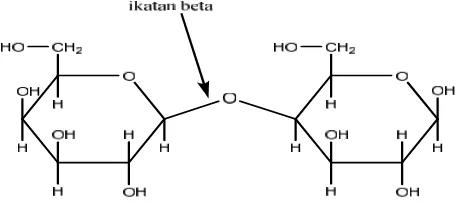 Gambar 3. Rumus Struktur selulosa-α