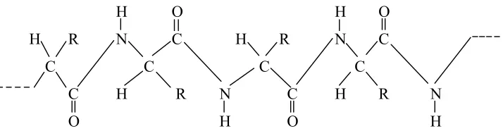 Gambar 8. Rantai polipeptida atau protein (Cowd, 1991) 