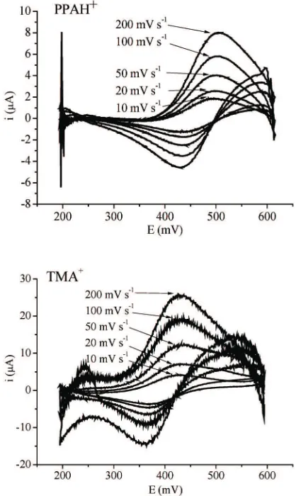 Fig. 4. Cyclic voltammogram of PPAH+ and TMA+ 0.4mM at W|NB interface.